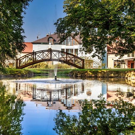 Darovansky Dvur - Wellness & Golf Hotel Brasy Екстер'єр фото
